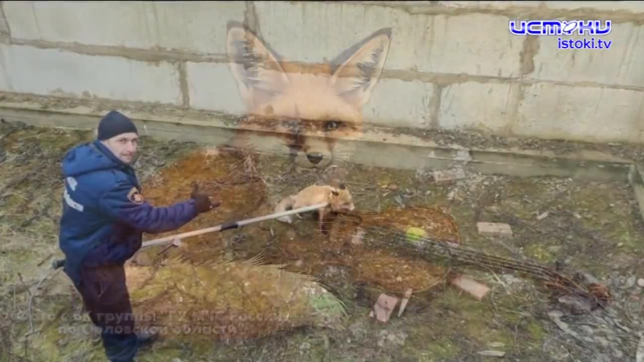 Советник орловского губернатора Сергей Лежнев останется в СИЗО до 24 декабря