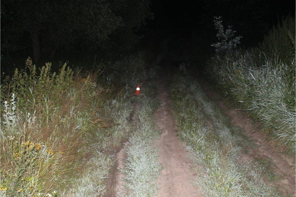 В Орловской области молодой мотоциклист уронил свою юную пассажирку