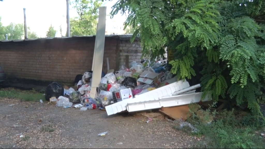Глас народа о мусорном коллапсе 