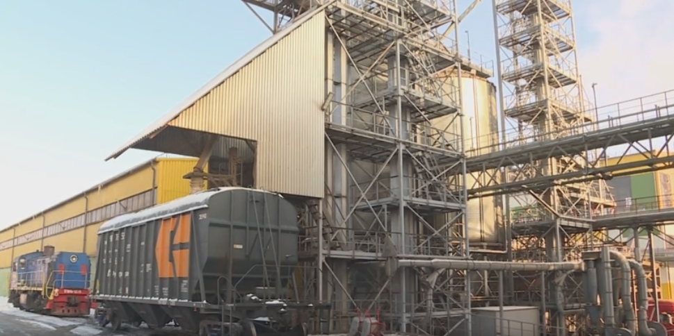 Как семена рапса превращаются в жидкое золото?