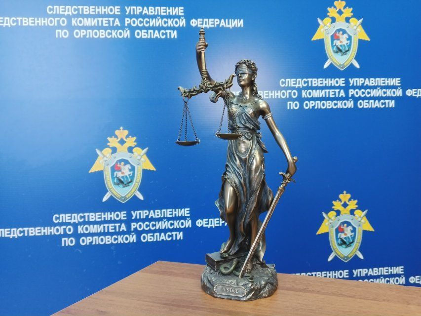 Жительницу Орловской области осудили за убийство знакомого
