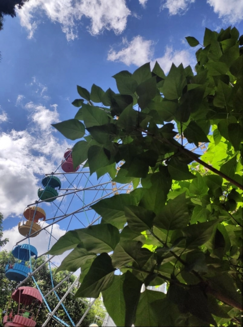 В Орле стартовал сезон аттракционов в Городском парке!