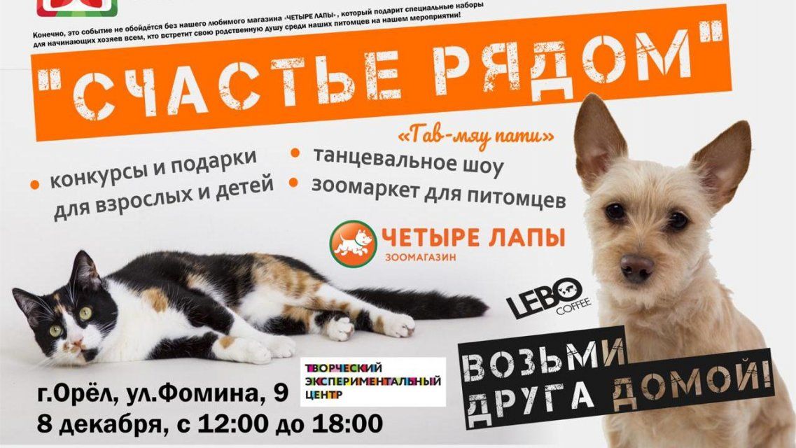 Орловчане смогут найти четвероногого друга на «Гав-мяу-пати»