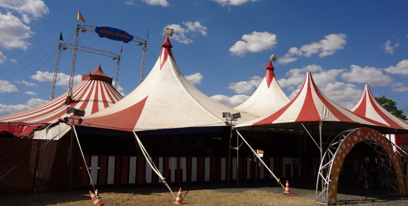  Орловская прокуратура проведет проверку в связи с нападением медведя на работника цирка