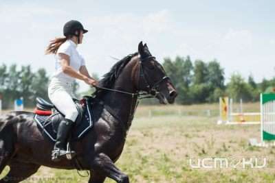 В Орле открыта выставка «Вязки – верхом к мечте»