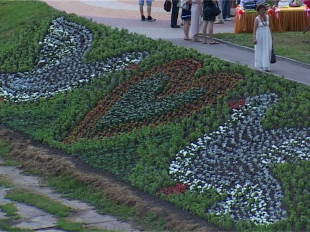 Под благоустройство и озеленение попадут несколько объектов 