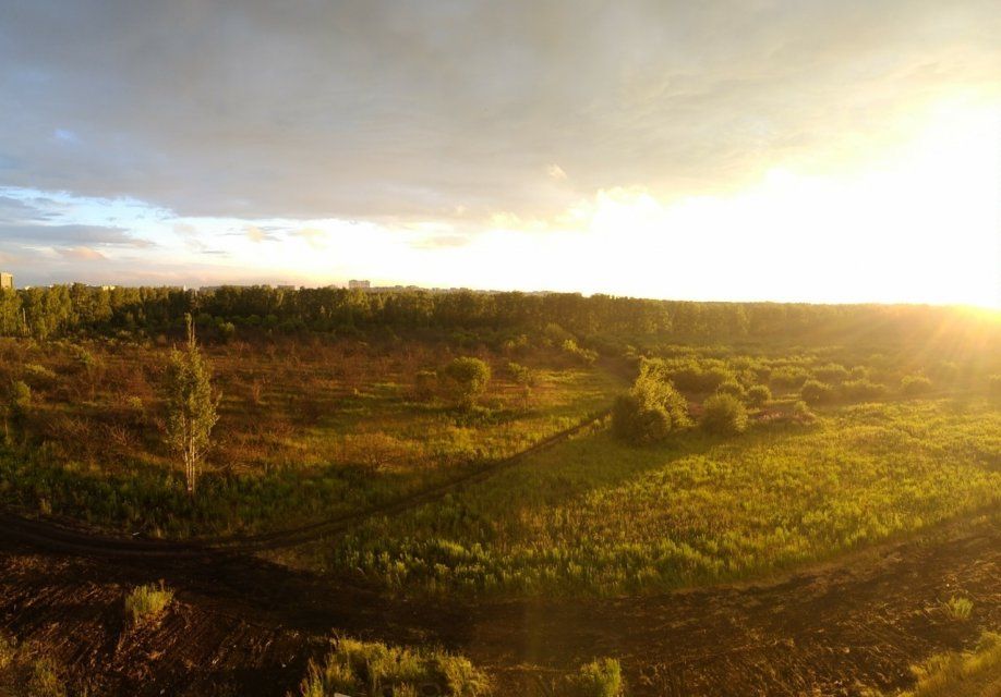 Зарезали и ограбили: подробности трагедии, потрясшей Болховский микрорайон