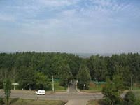 В школу через лес