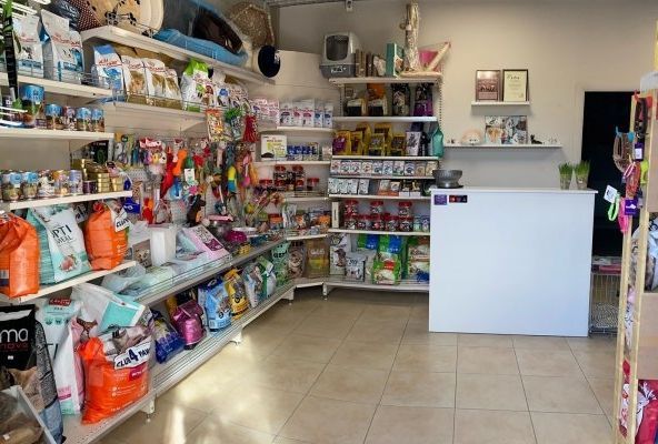 Житель Воронежской области взломал интернет-сайт зоомагазина и похитил деньги орловчанина