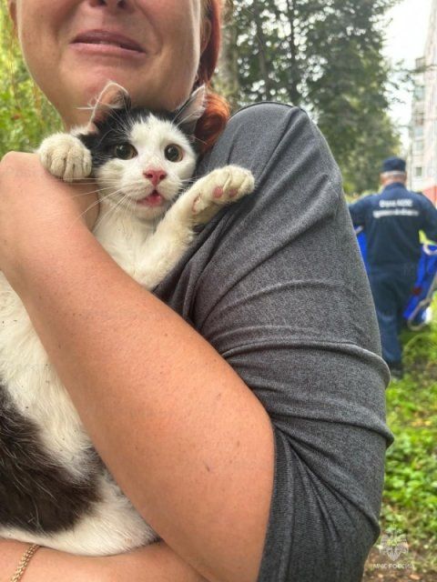 Спасение пушистого древолаза