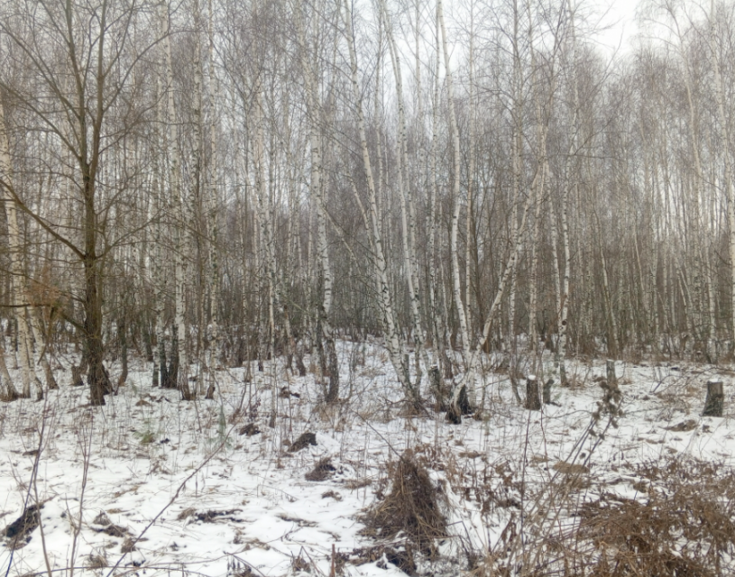 С начала года Россельхознадзор проконтролировал более 14 тыс. га сельхозземель в Орловской области