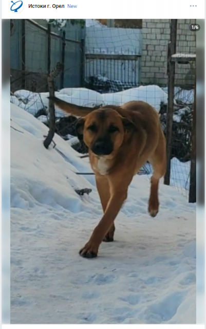 Найден новый победитель конкурса "Народный корреспондент"