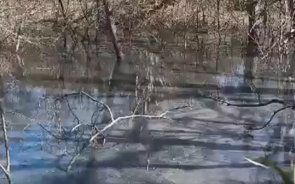 "Я неоднократно поднимал вопрос наличия в черте города Орла фекальных озер"