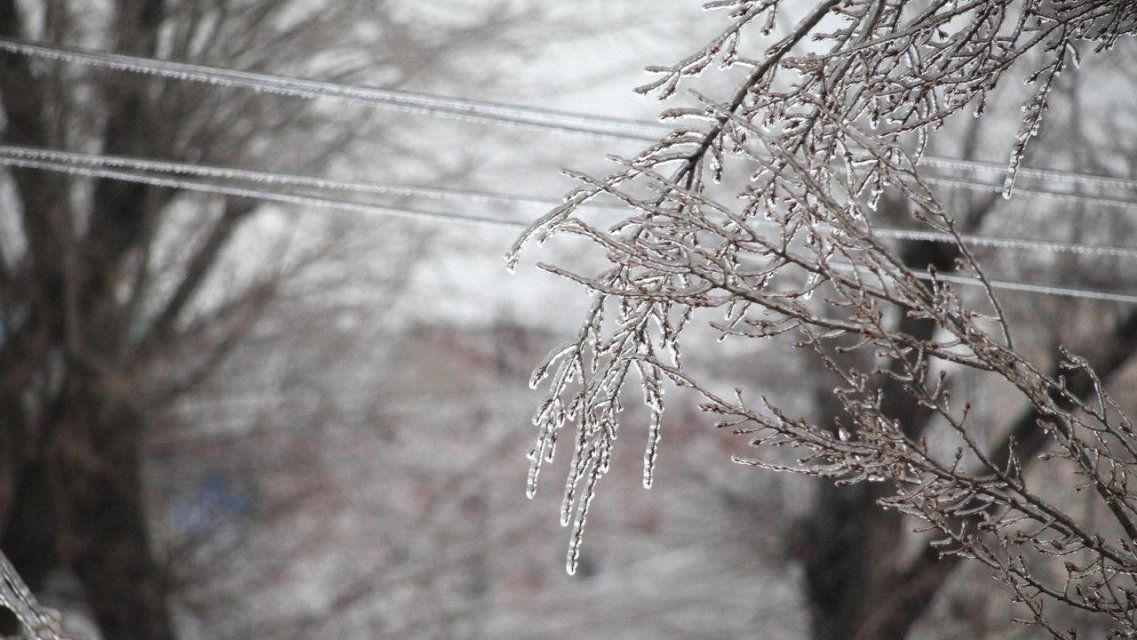 Погодные сюрпризы: вихрь «Белла» принесет на Орловщину ледяной дождь