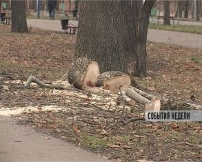События недели 16.11.2014_