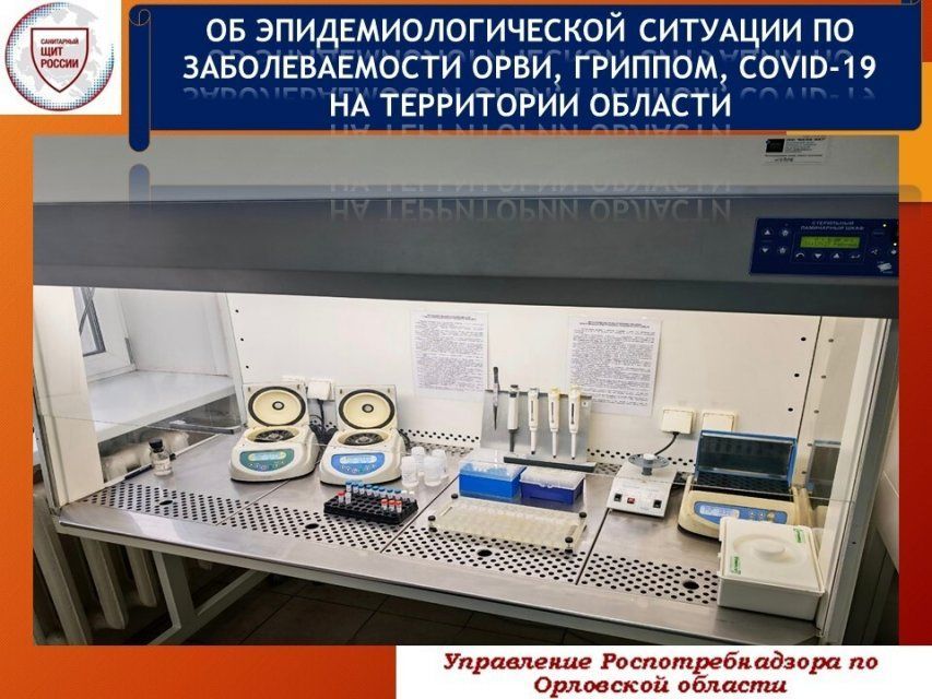 Заболеваемость ОРВИ на Орловщине продолжает идти на спад