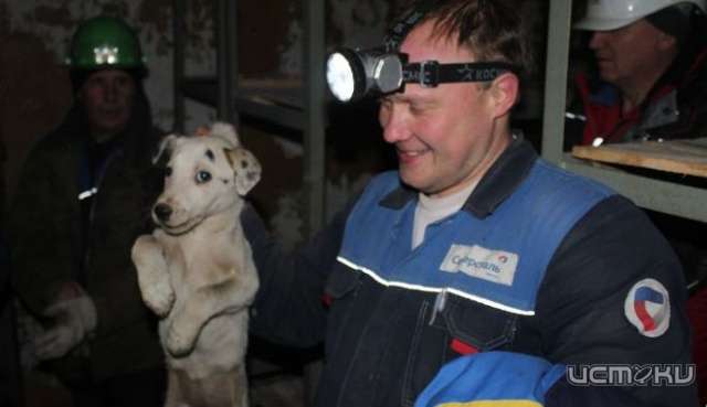 Орловские спасатели два дня доставали застрявшего в вентиляции щенка