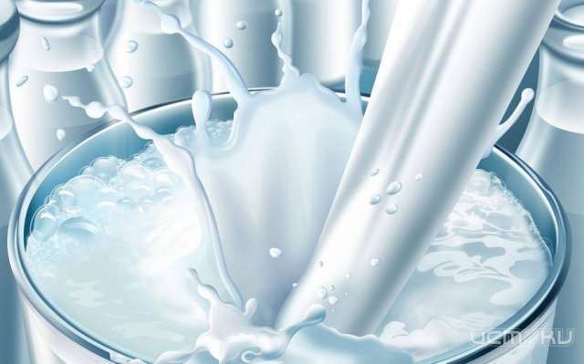 В орловском молоке нашли кишечную палочку