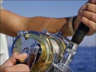 Немного о рыбалке