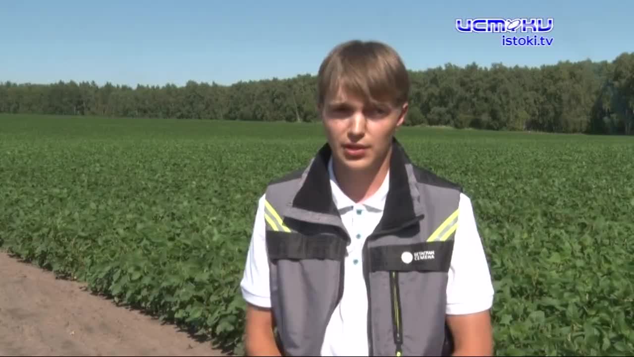 Аграрно-промышленный комплекс: новые перспективы