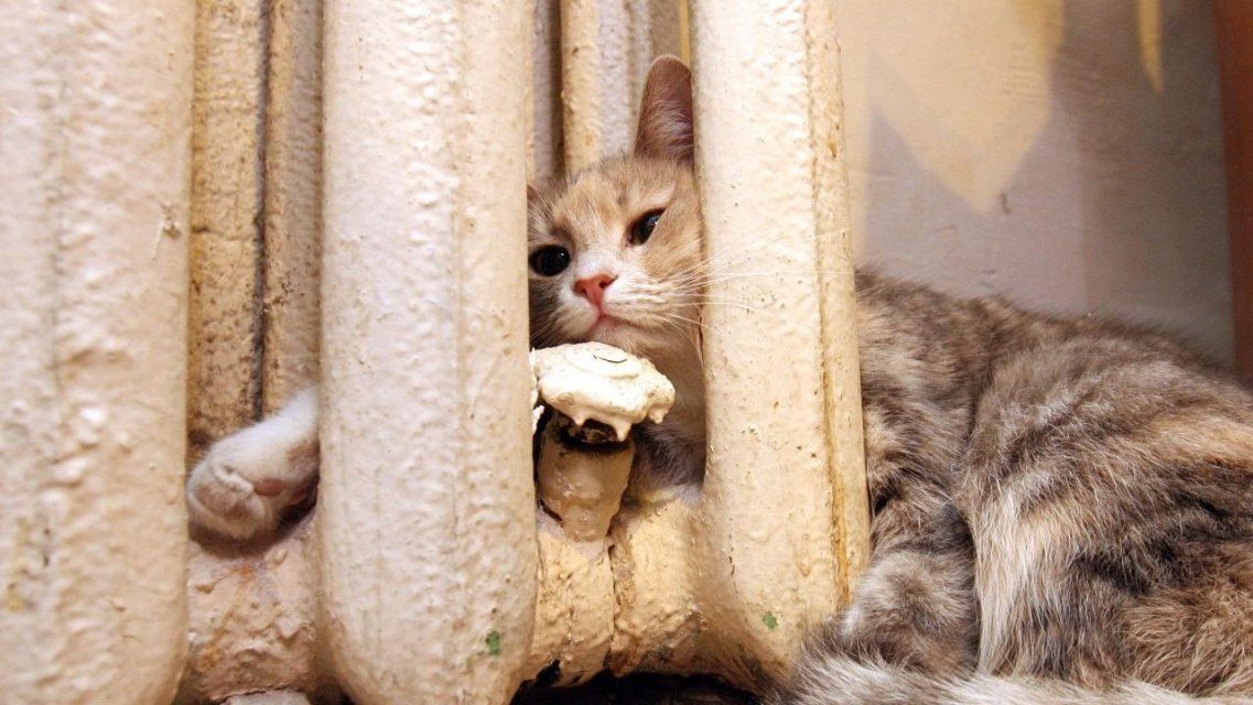 Батареи в квартирах орловчан потеплеют на следующей неделе