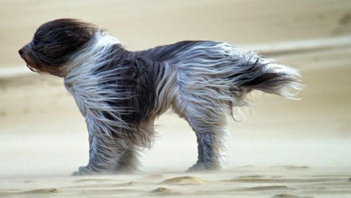 Под конец рабочей недели ветер на Орловщине еще больше усилится