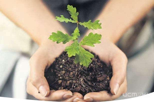 Орловская область поучаствует во Всероссийской акции «Аллея России» в Крыму