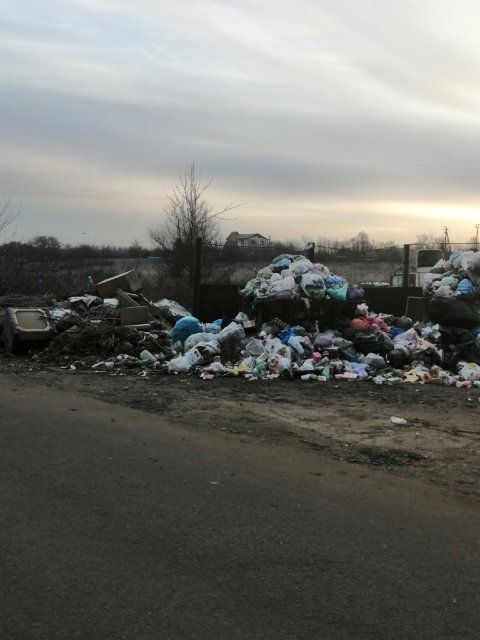 Захламленные контейнерные площадки возмутили жителей поселка Стальной Конь