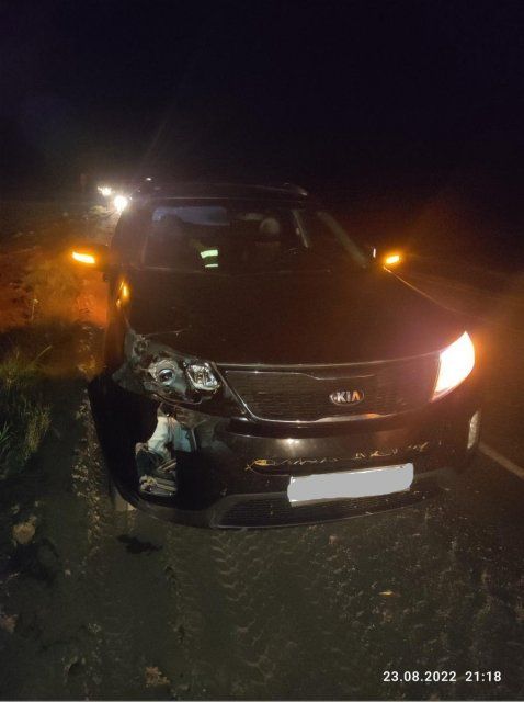 Под Орлом под колёсами иномарки погиб пешеход