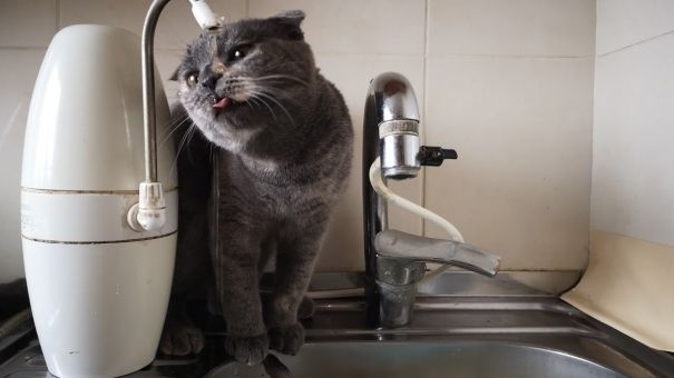 В Орле коммунальщики продолжают отключать воду