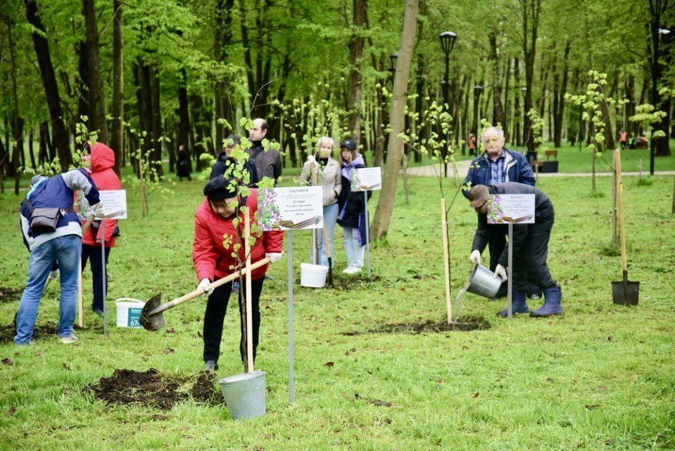 Орловская область вновь присоединится к Международной акции «Сад Памяти»
