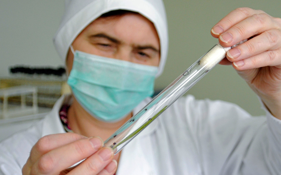 Клещи не сдаются: почти 1500 орловчан обратились к медикам