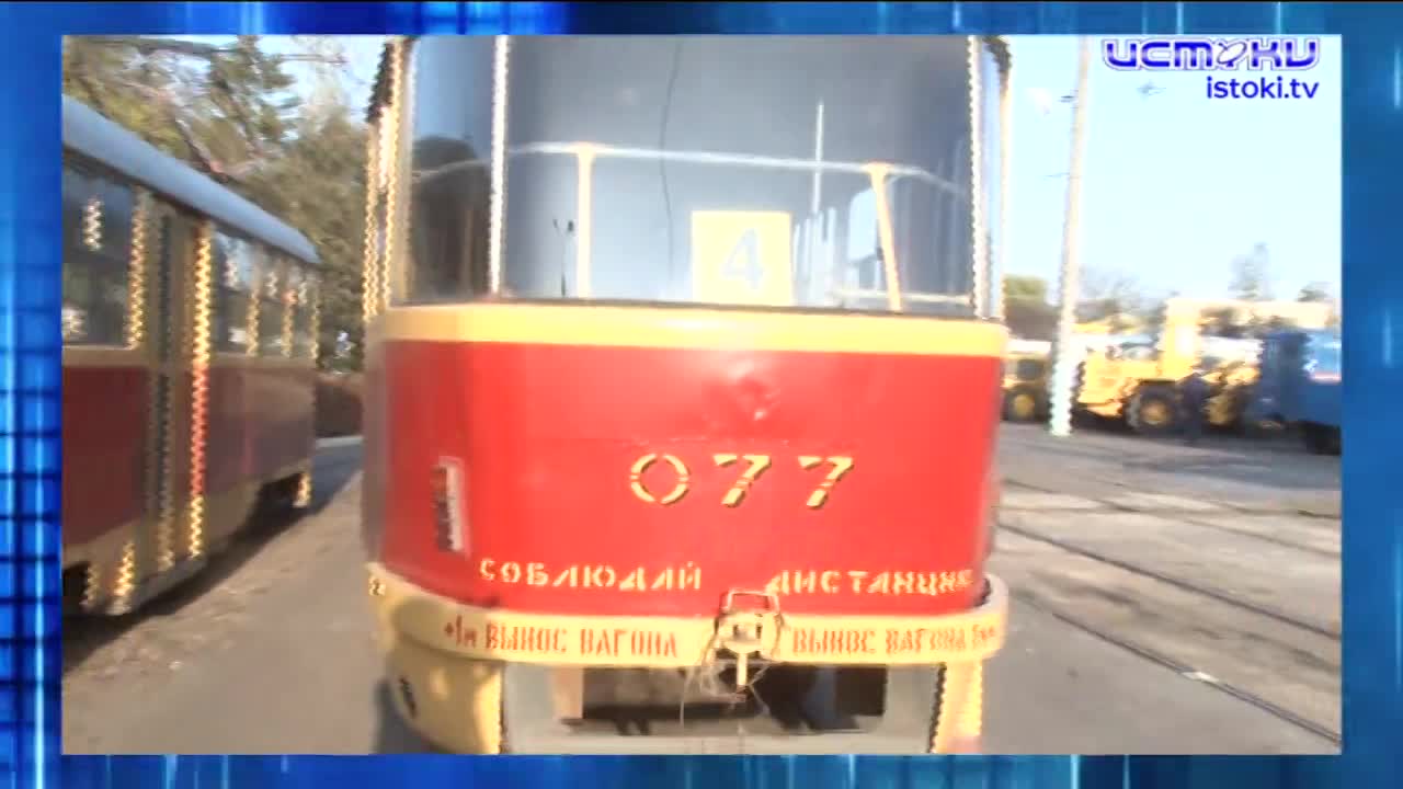 Собаки чувствуют себя хозяевами в орловских дворах