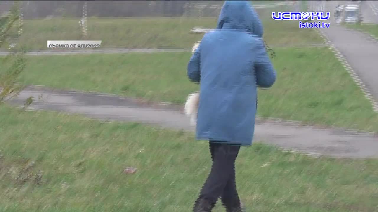 Неравнодушные орловчане бьют тревогу. В Орле начали травить собак, разбрасывая яд на улицах