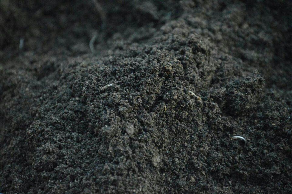 Грунт в Москве