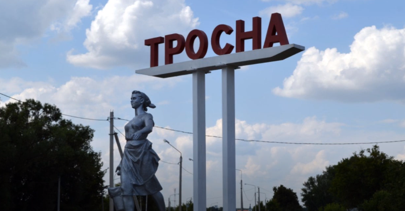 В Орловской области обнаружили бесхозный мост