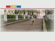 Все для животных