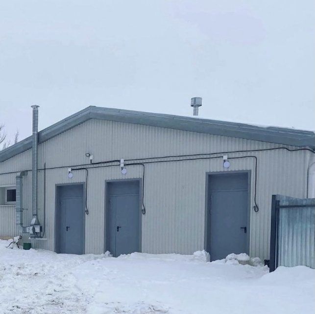 Прокуратура Орла контролирует исполнение решения суда по приюту для животных