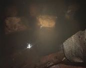 Программа 10