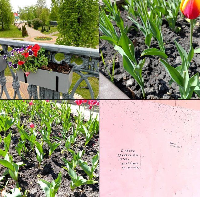 В Орле вандалы оскверняют подготовку к Дню Победы