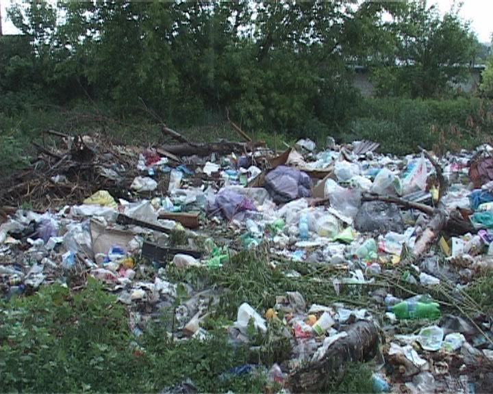 Мусорный коллапс в Хвойном переулке