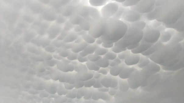 В Орловской области сбили очередной беспилотник