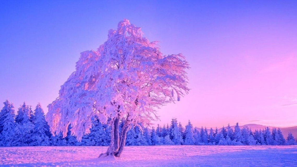 До серьезных холодов еще далеко: россиянам пообещали «розовую» зиму