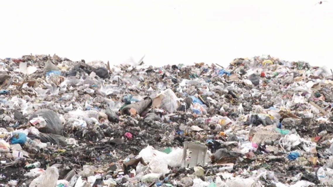 На полигоне ТБО в Орле вскрылся факт самозахвата земли