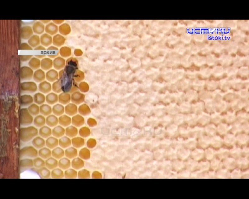 Облсовет провёл внеочередную сессию