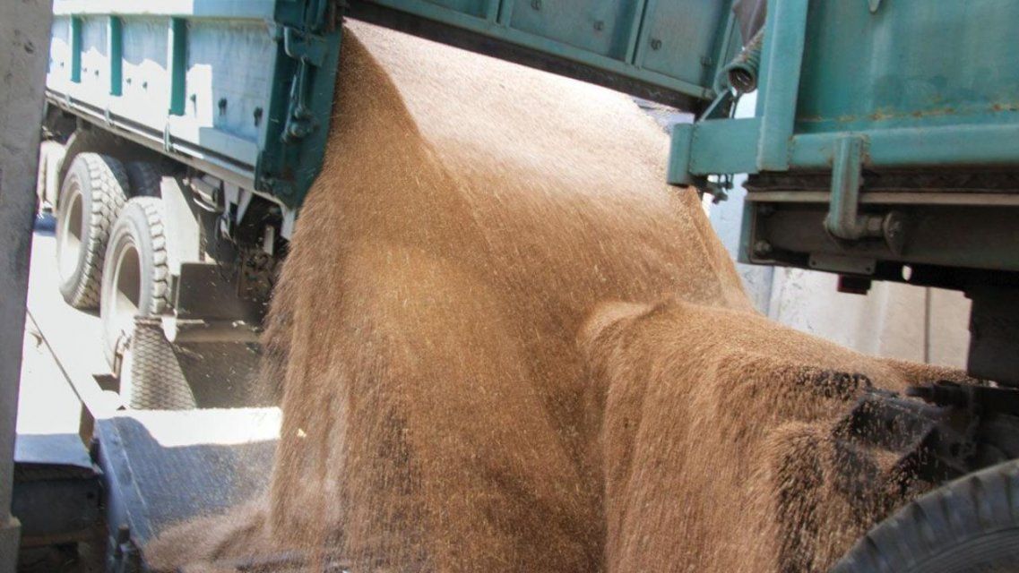 За кражу пшеницы и рапса двух орловских начальников будут судить