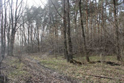 Следственный комитет по Орловской области раскрыл дело об убийстве 24-летней давности 