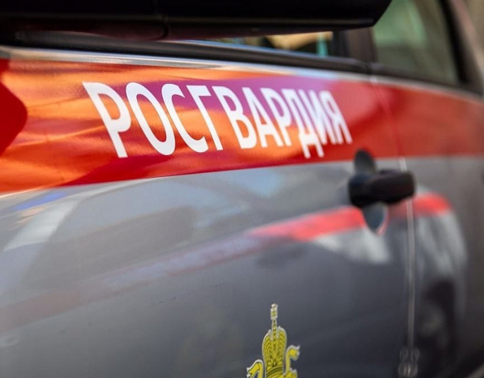 В нерабочие дни в Орле участились случаи краж дорогого алкоголя