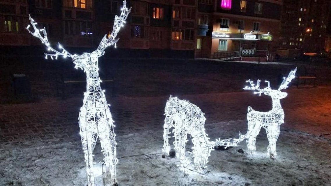 В Зареченском микрорайоне вновь поселились олени, пострадавшие прошлой зимой