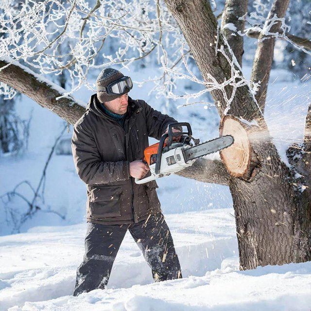 В Новосильском районе полицейские раскрыли незаконную рубку лесных насаждений